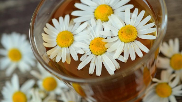 Best Sleep Teas (2026): What Is Actually in the Cup